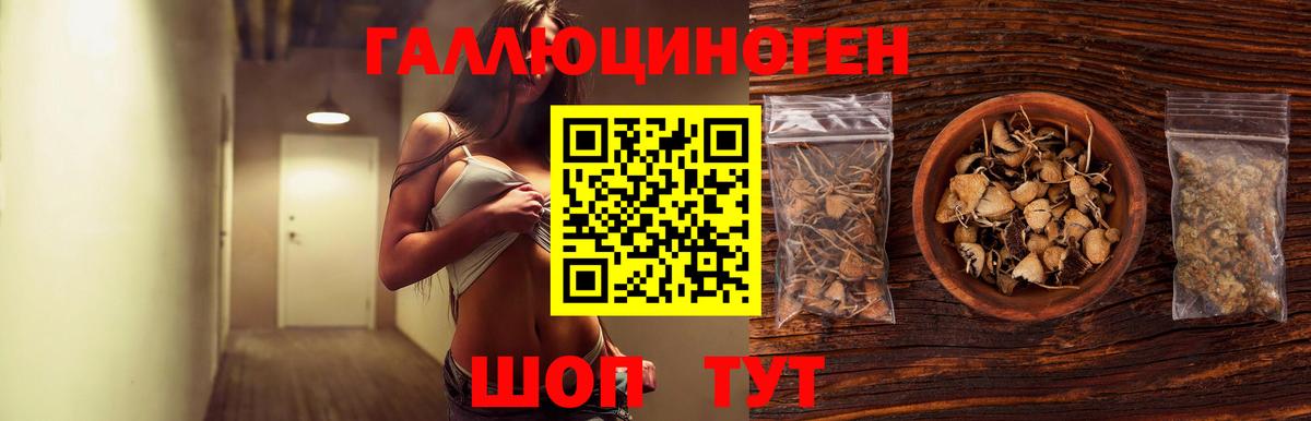 Псилоцибиновые грибы мухоморы  Вход с VPN  Приморско-Ахтарск 